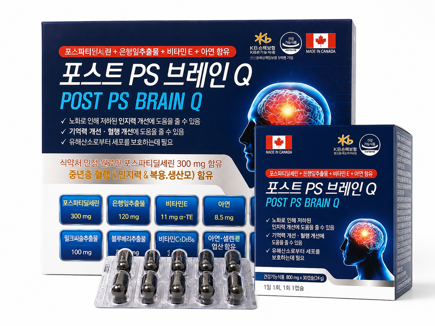 포스트 PS 브레인Q
