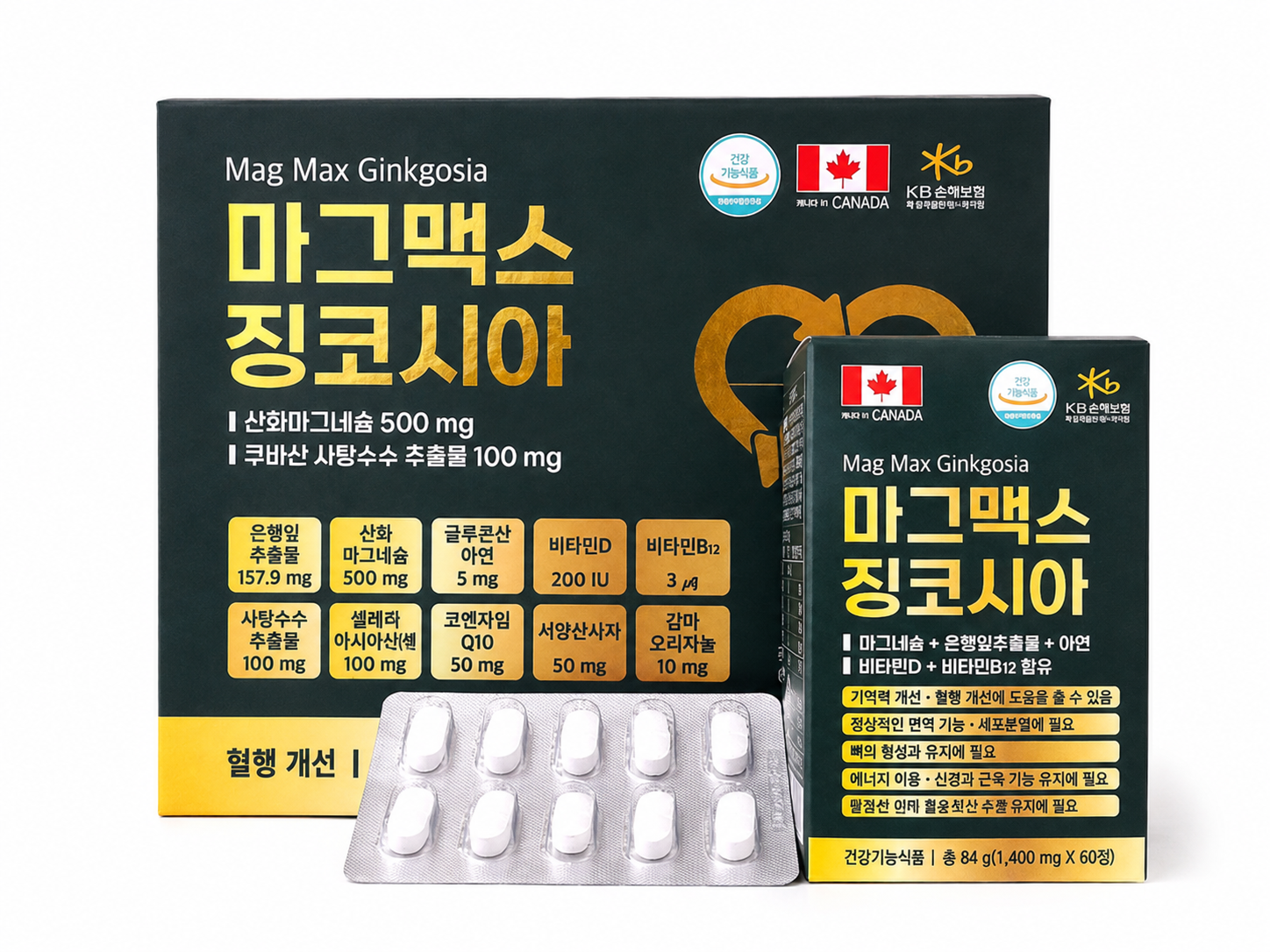 마그맥스 징코시아