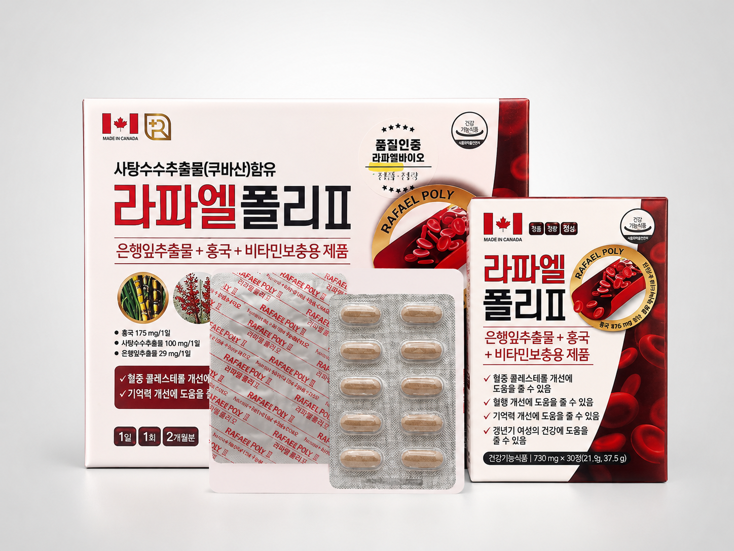 라파엘폴리Ⅱ