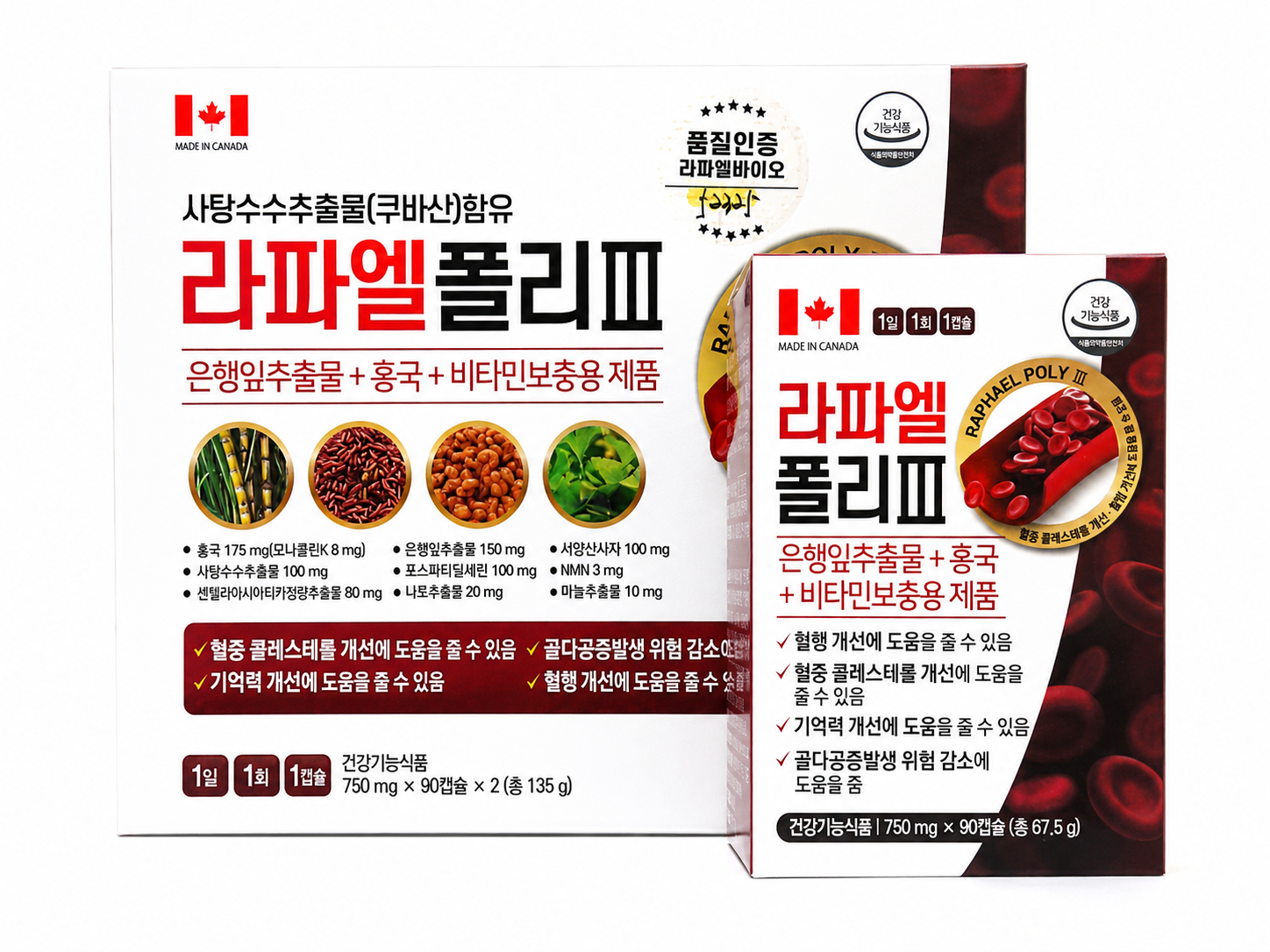 라파엘폴리Ⅱ