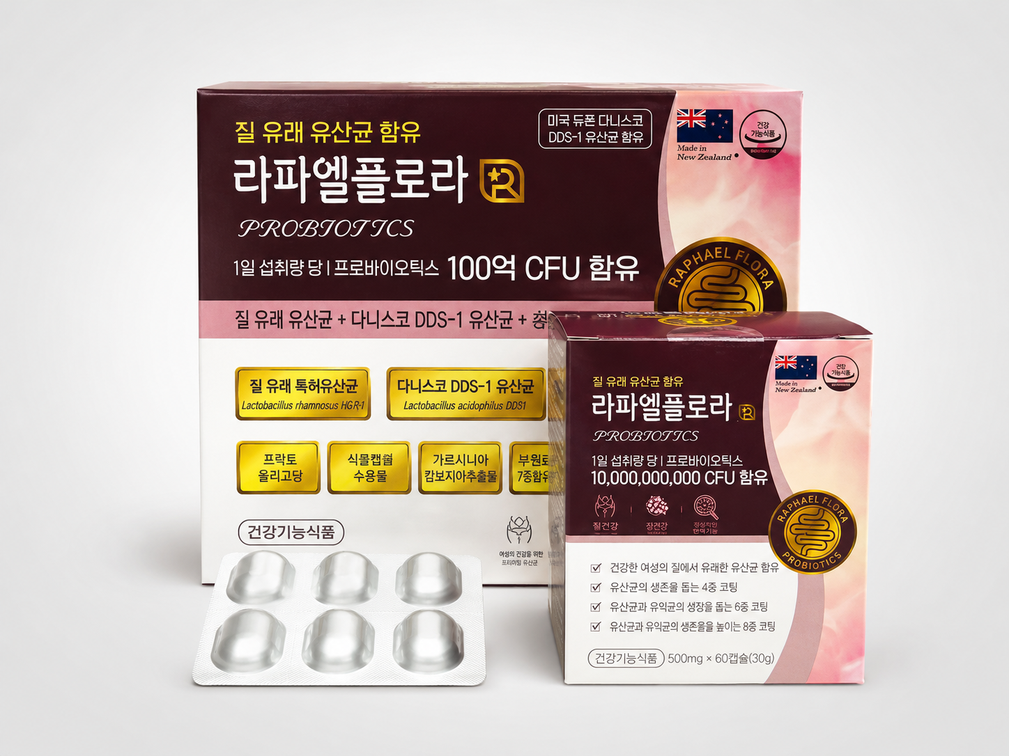 라파엘플로라