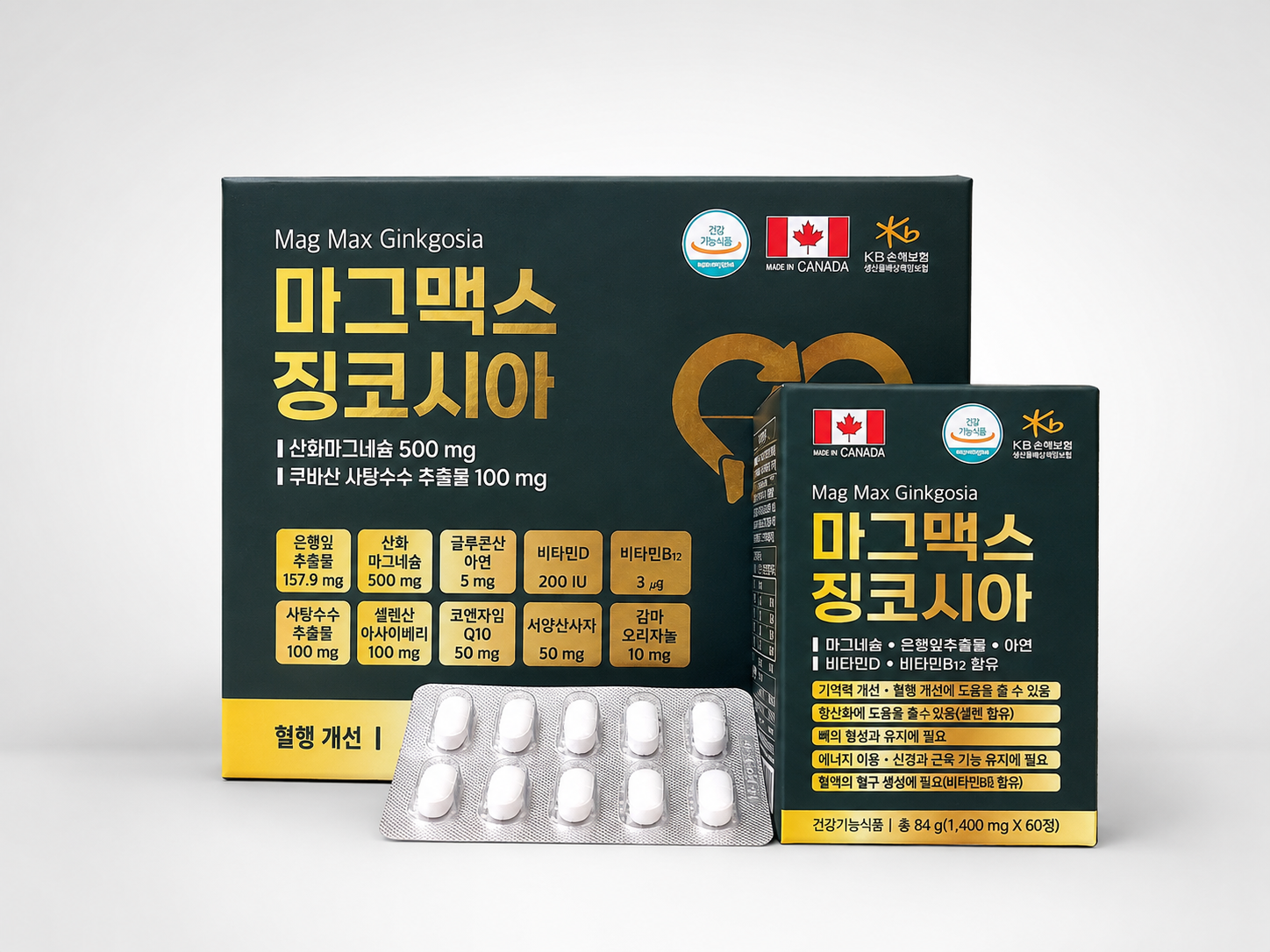 마그맥스 징코시아