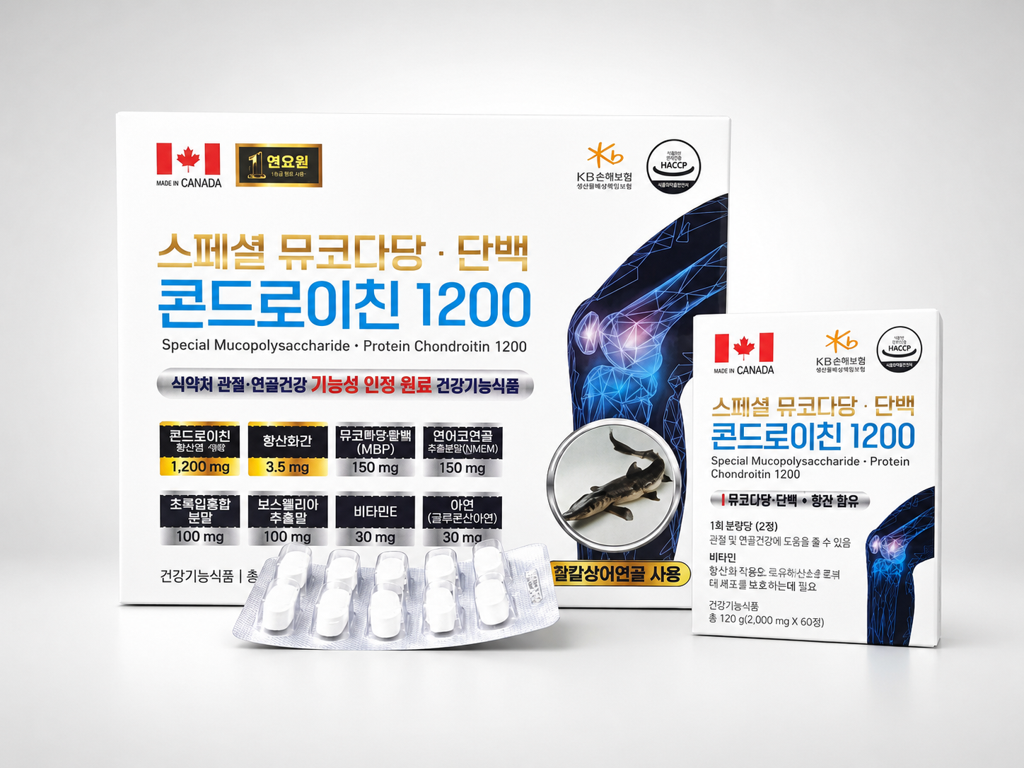 스페셜뮤코다당 콘드로이친 1200
