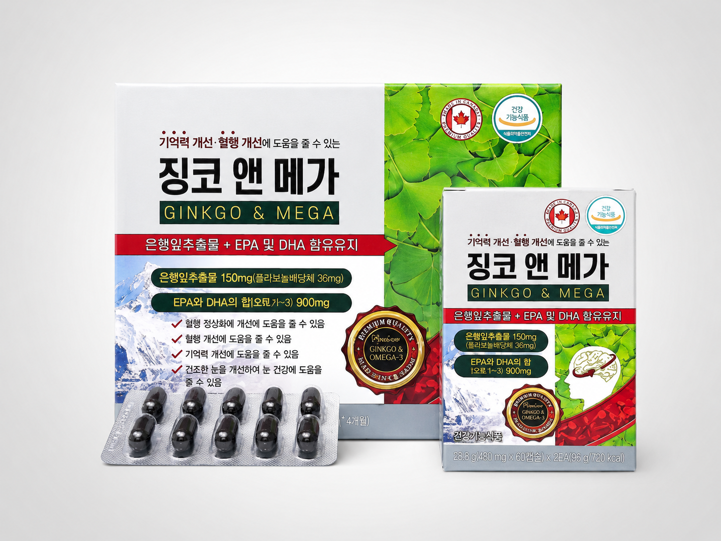 징코 앤 메가