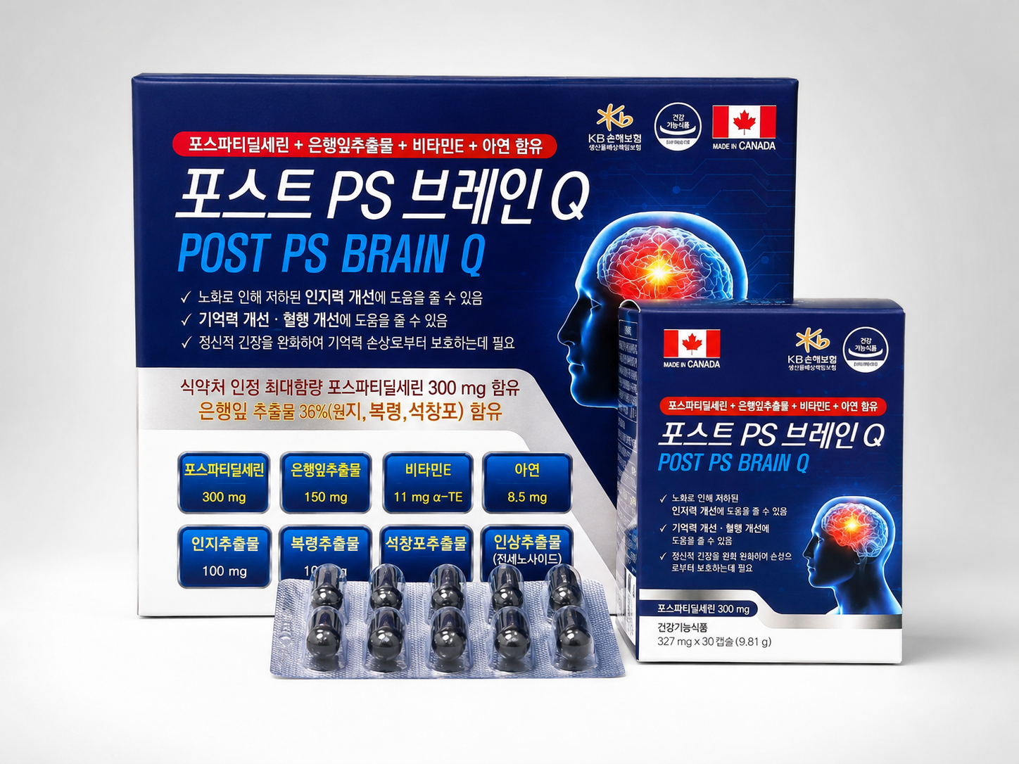 포스트 PS 브레인Q